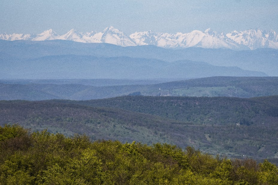 Nagybárkány
