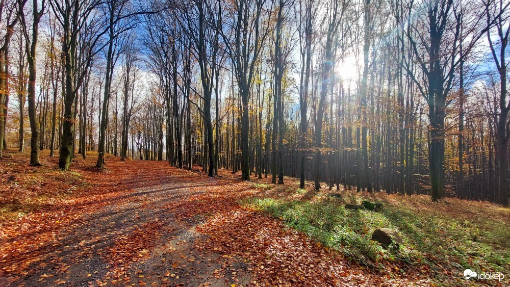 Nagybárkány