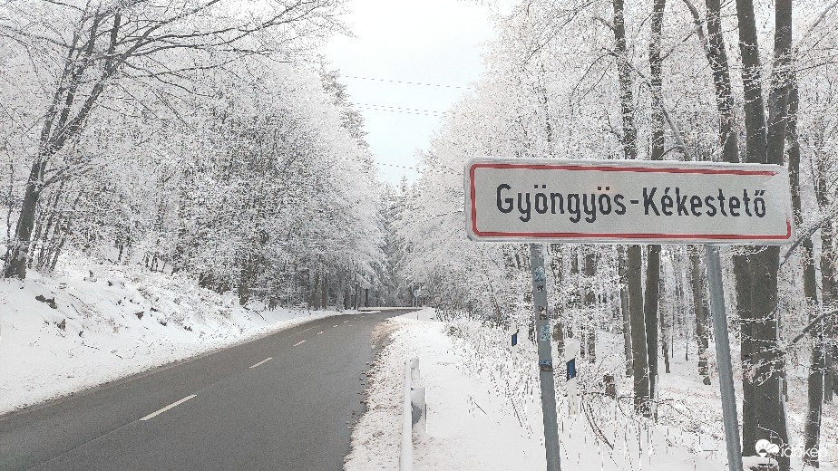 luczazsolt fotója
