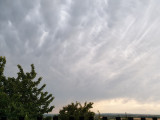 Fodrozódás