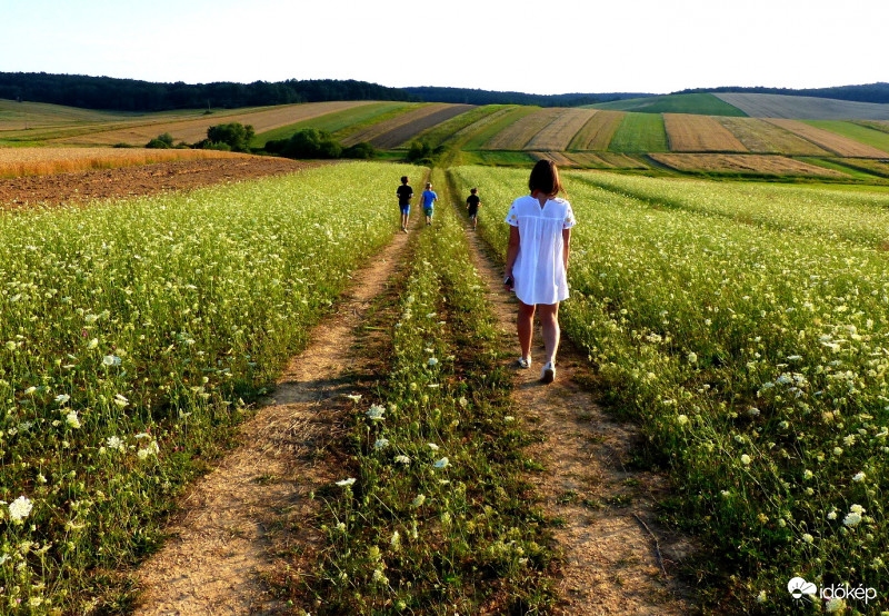 Kezdődhet a szünidő, irány a csodás Magyarország...