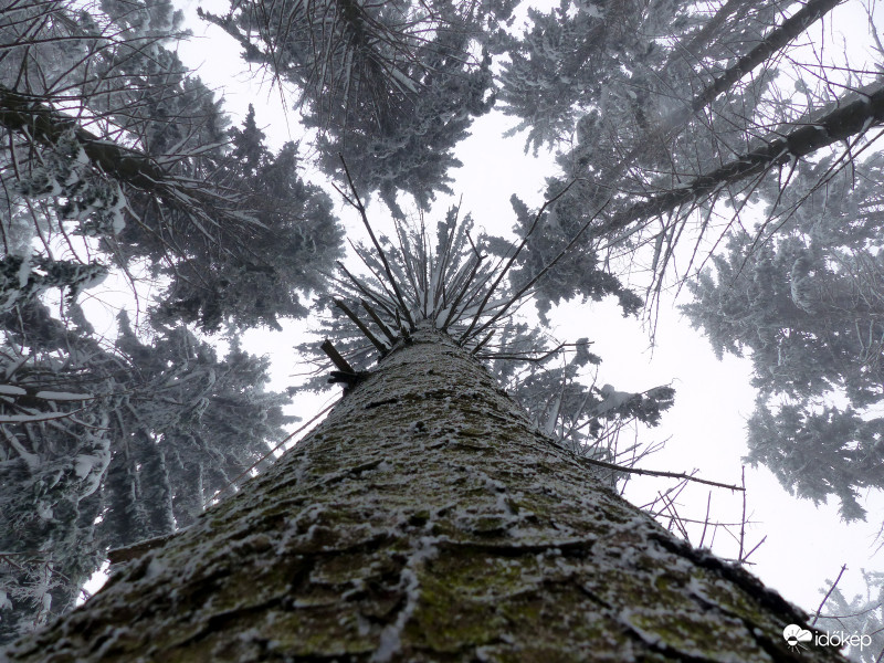 Ég és főld között...