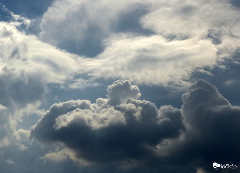 Dínó születik :-)