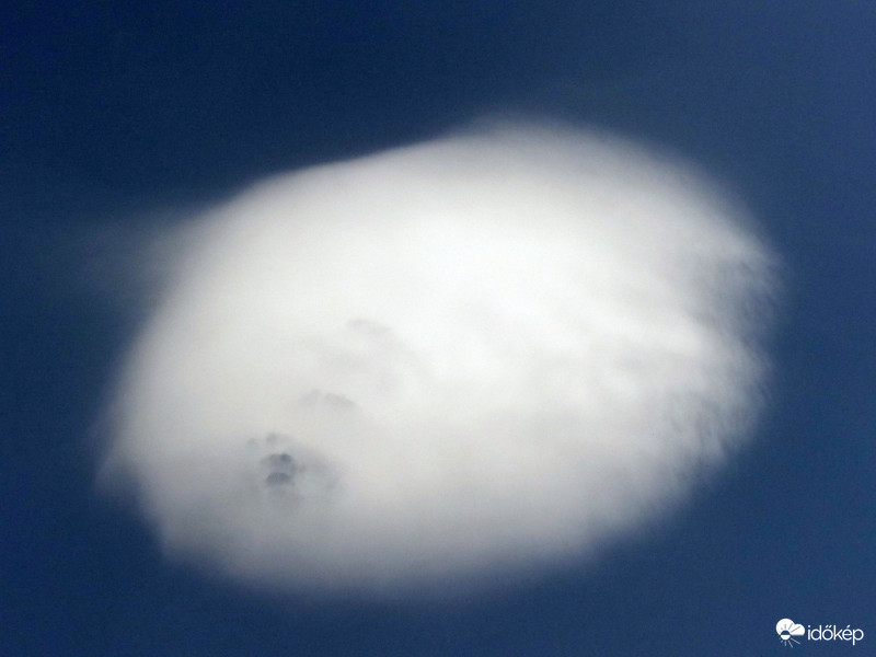 Látogató közelről