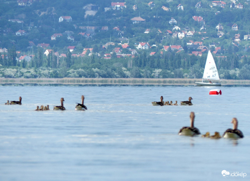 Úton. Ki erre, ki arra...