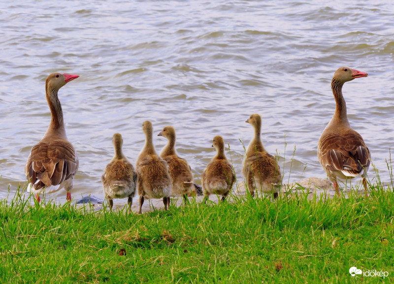 Jobbra nézz, balra mész...