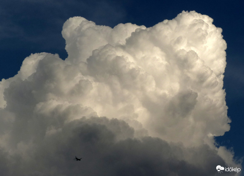 Monstrum Kispestről