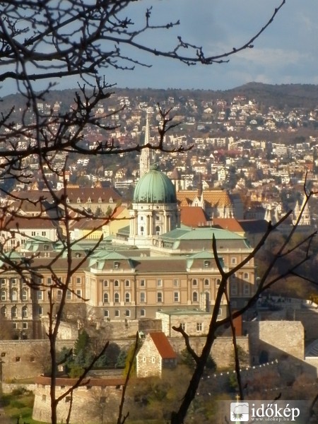 Budai vár