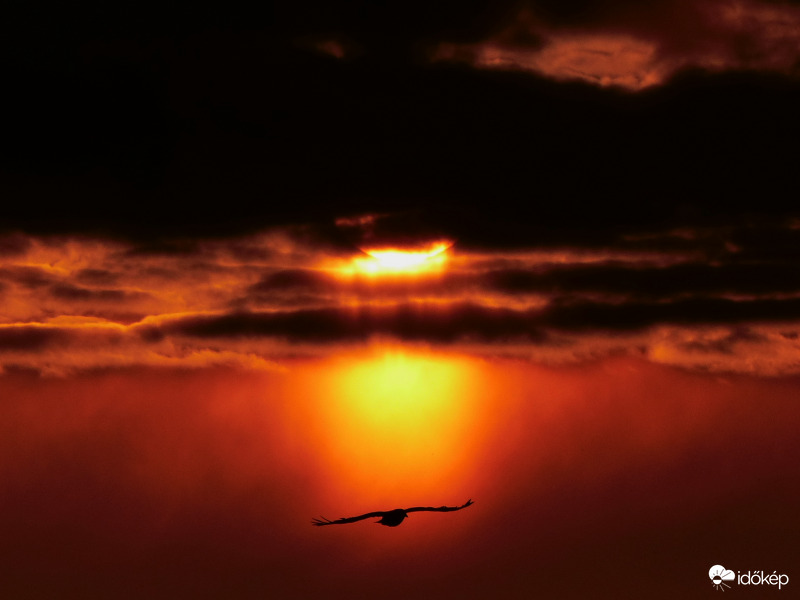 Ki elbújik, ki érkezik...