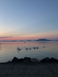 Balatonfenyves