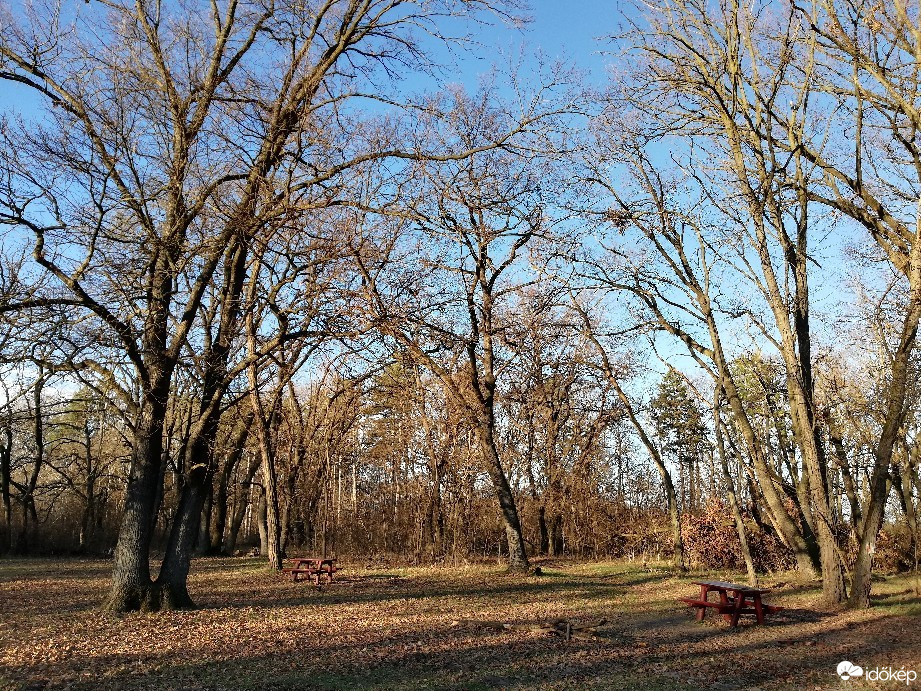 Nagykőrös