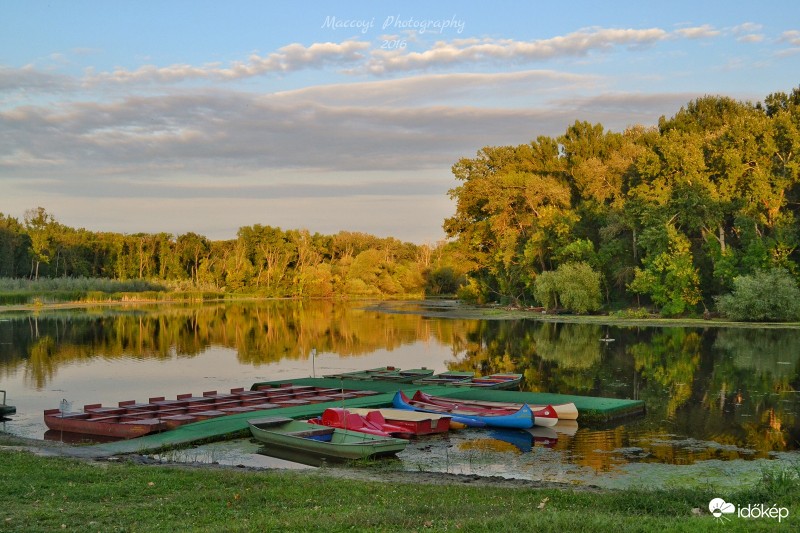 Szikrai holtág. (Tőserdő)