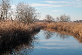 Tiszakécske