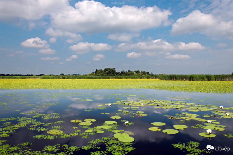 Csodálatos Tisza-tó