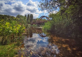 Kányavári sziget