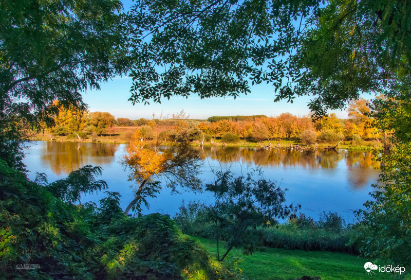 Tiszaalpári holtág