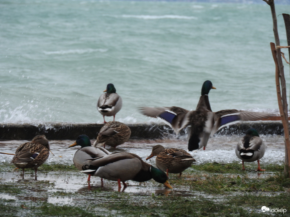 Kacsaidő felszállási engedély megadva
