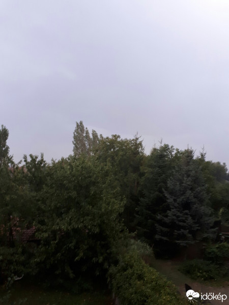 Gyöngyöshalász