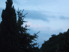 Báta