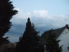 Báta