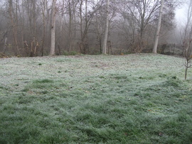 Báta