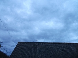 Báta