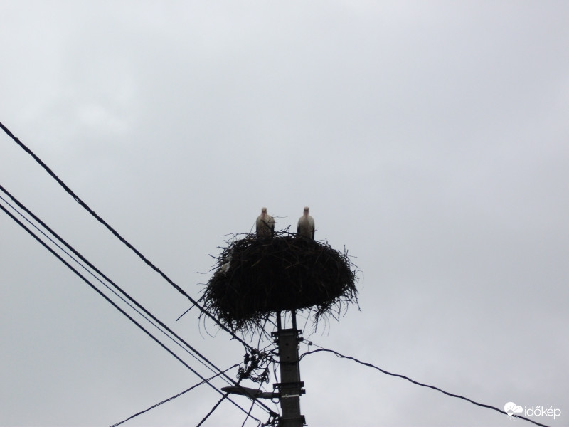 Megjöttek,sajnos tul korán.