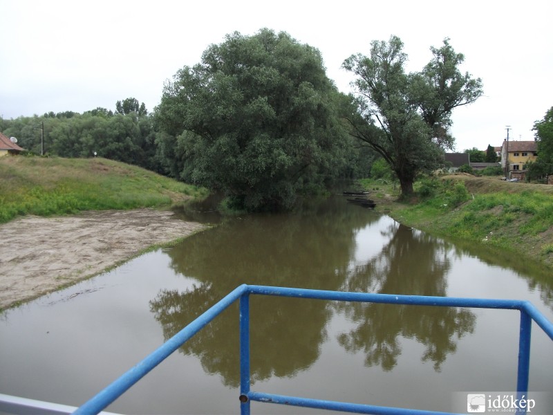 Báta