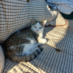 Gazdi már megint fotóz...