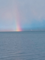 Balaton 