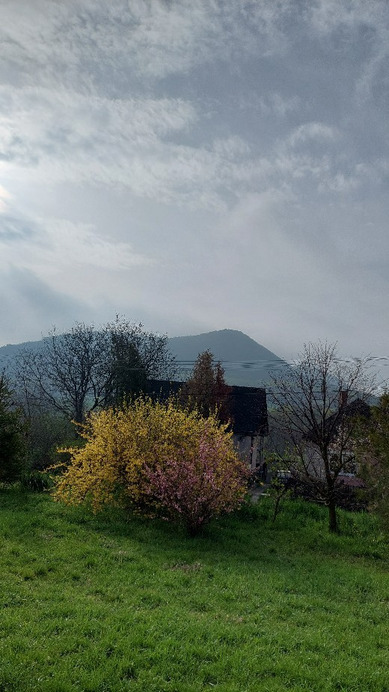 Bajna