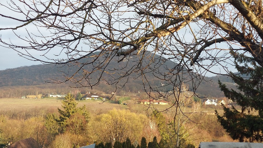 Bajna