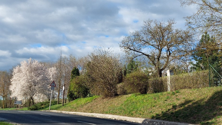 Bajna