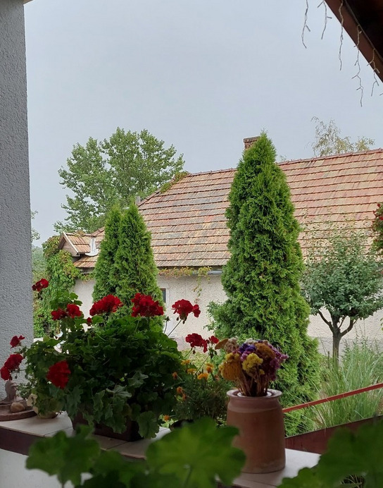 Bajna