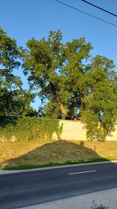Bajna