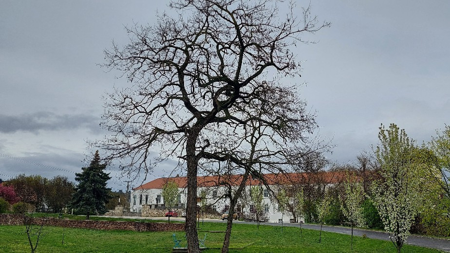 Zsámbék