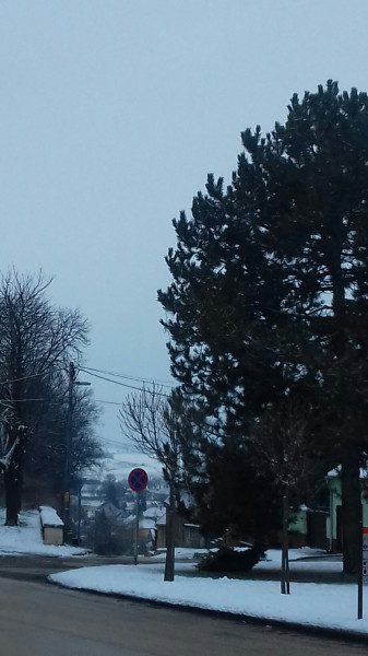Bajna