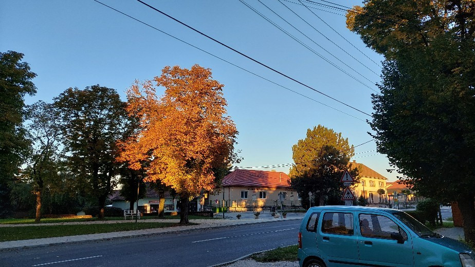 Bajna