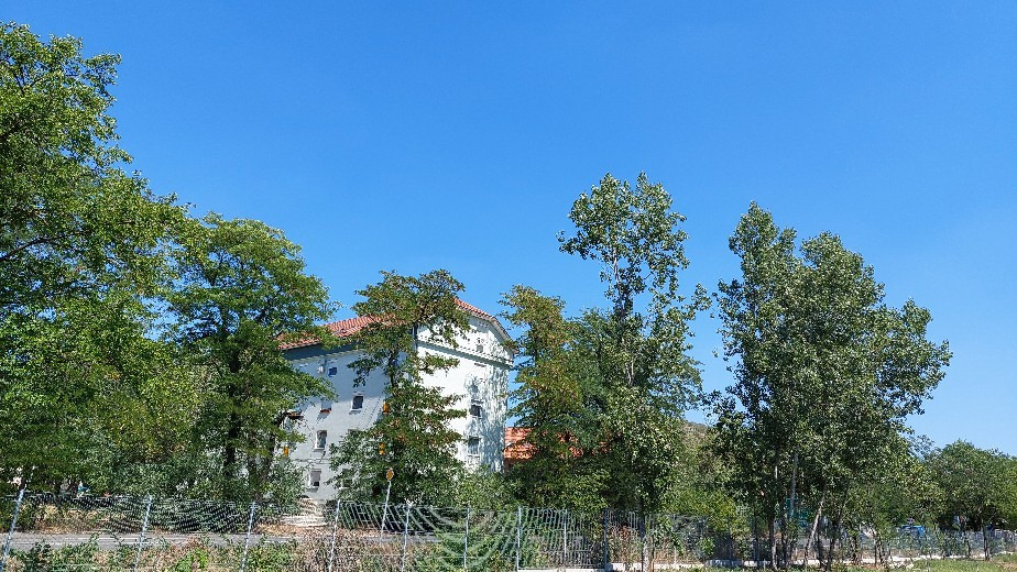 Dorog