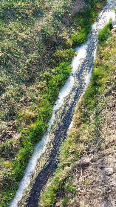 Bajna