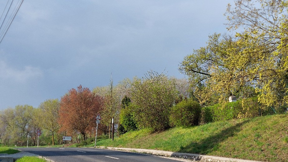 Bajna