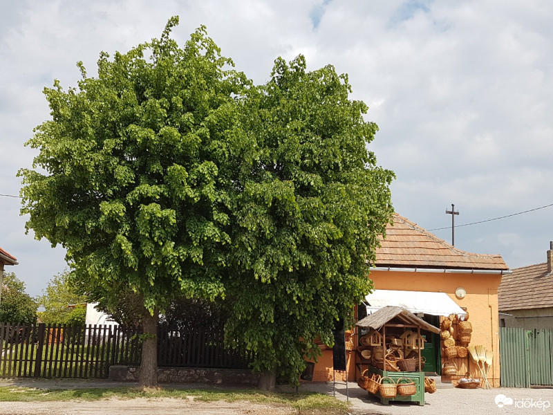 Bajna