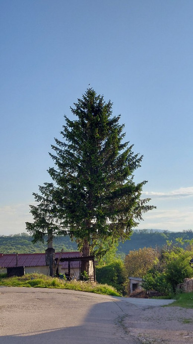 Bajna
