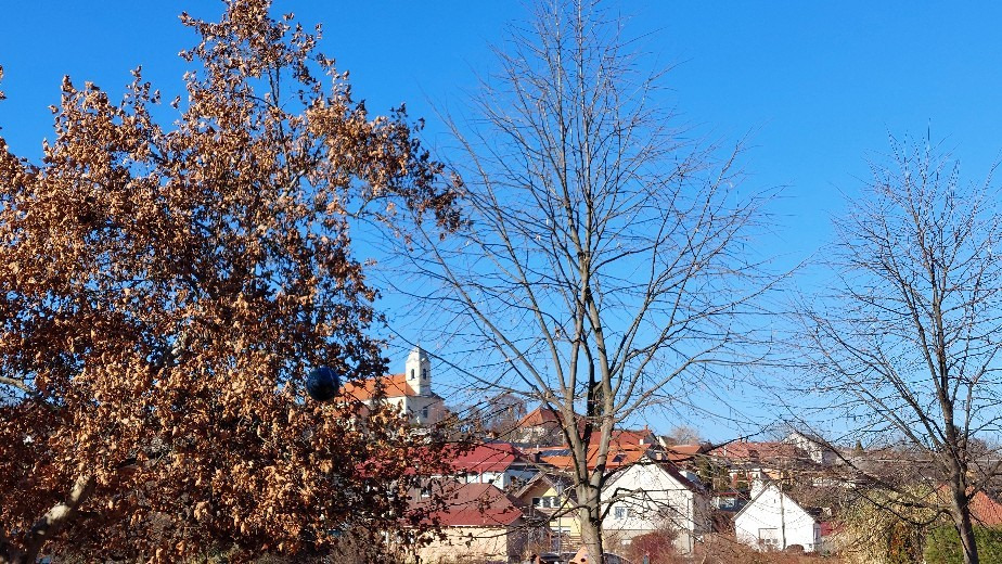 Csolnok