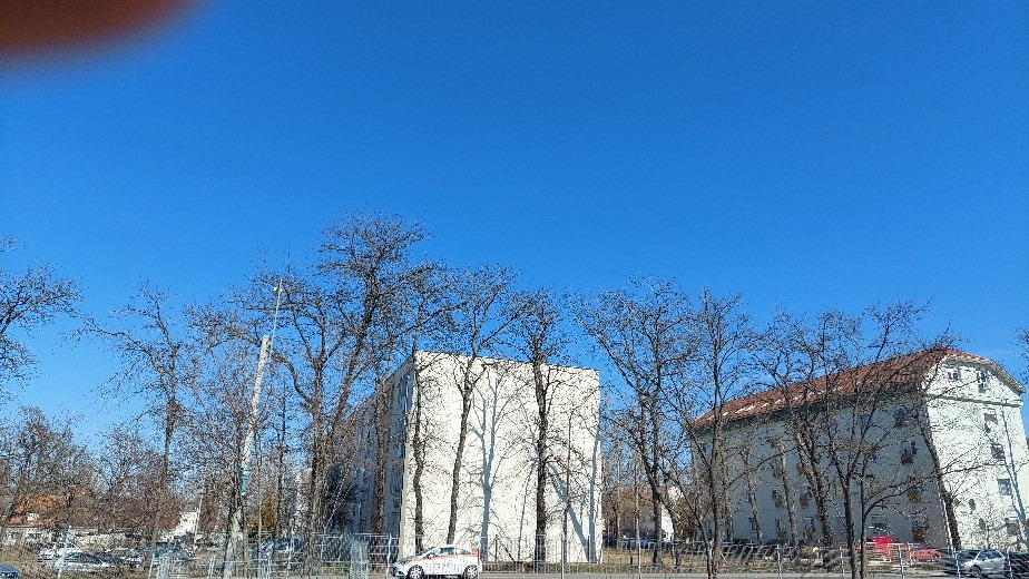 Dorog