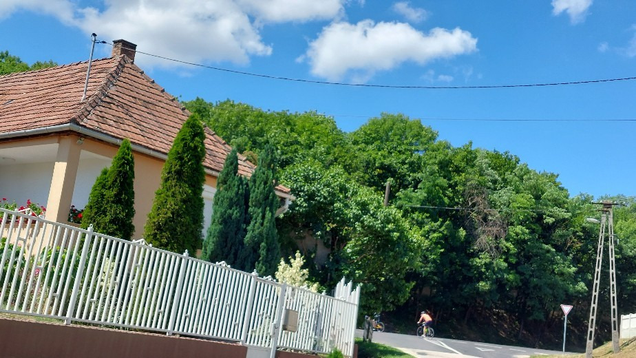 Bajna