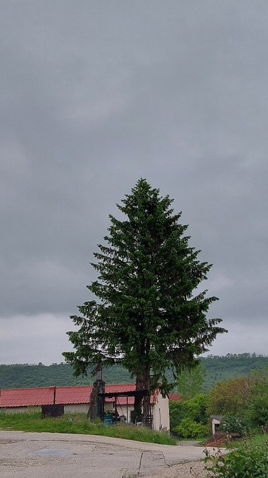 Bajna