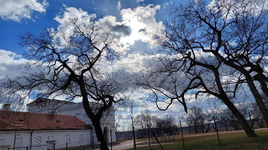 Bajna