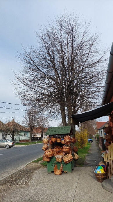 Bajna