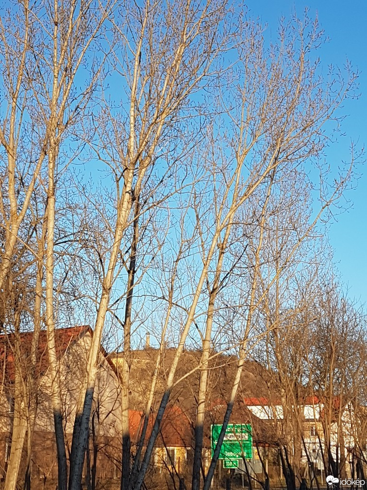 Dorog